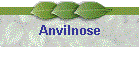 Anvilnose