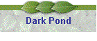 Dark Pond