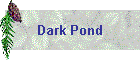 Dark Pond