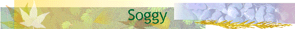 Soggy
