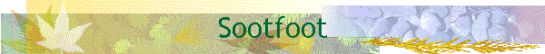 Sootfoot
